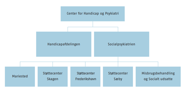 Organisationsdiagram for Center for Handicap og Psykiatri
