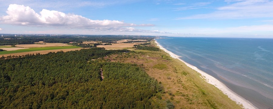 Luftfoto af Professorens Plantage og kysten