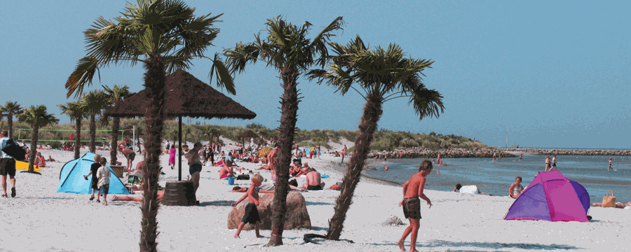 Palmestranden en sommerdag med badegæster på stranden