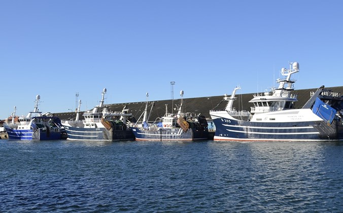 Trawlere Skagen Havn