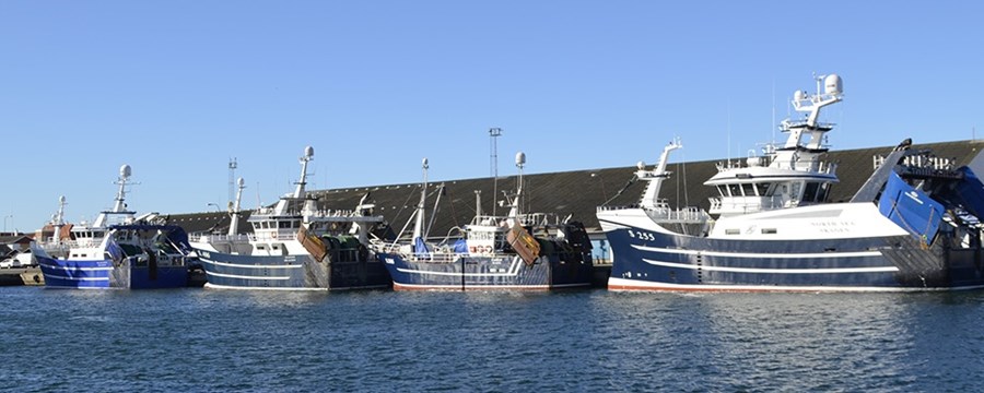 Trawlere Skagen Havn